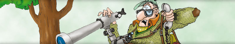 Cartoonist Illustrator